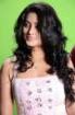 Sneha Spicy Photos
